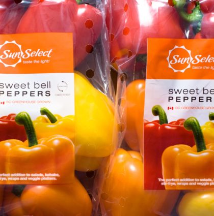 SunSelect Produce Packaging